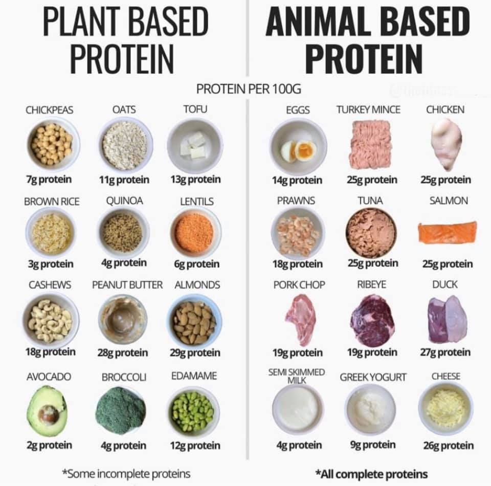 Infographic comparing plant-based and animal-based protein sources, listing protein per 100g.