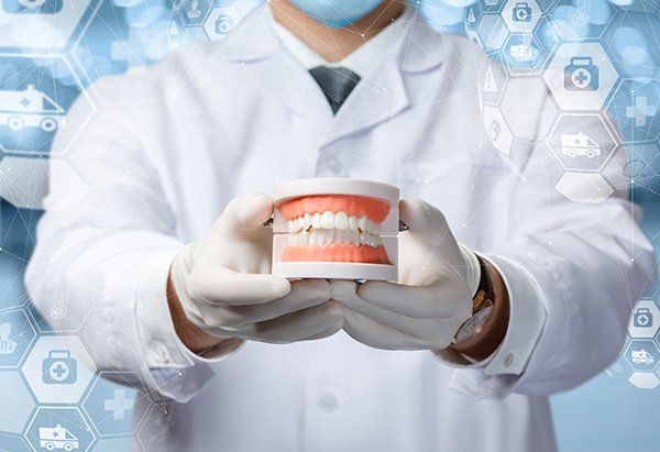 Dental Prosthetist Showing Dentures — Burleigh Denture Clinic in Burleigh Heads, QLD