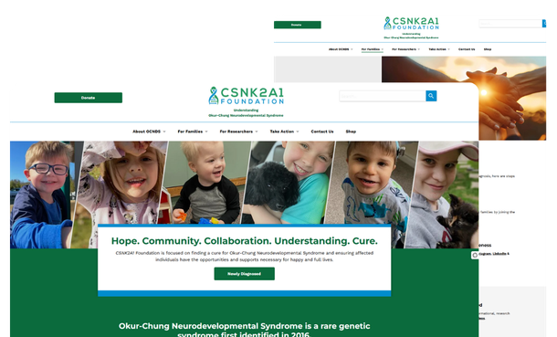 A screenshot of the CSNK2A1 website home page showing a group of children are standing next to each other on a website.