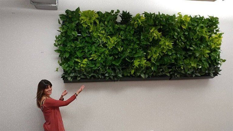 Indoor Living Green Wall