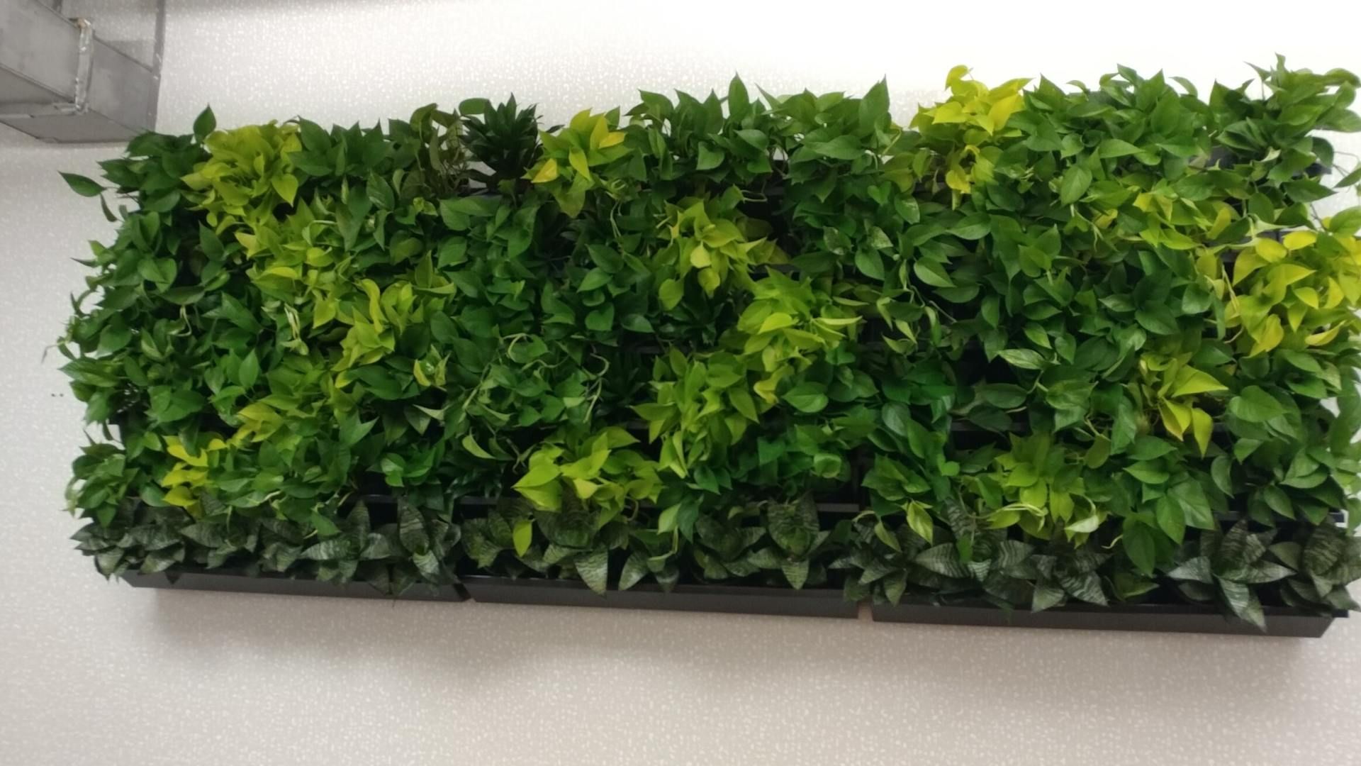 Green Wall Planter Panel