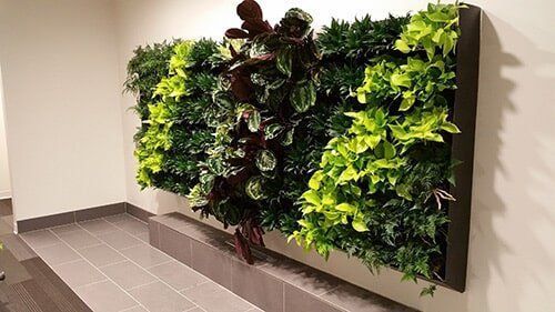 Hydroponic Wall Planter