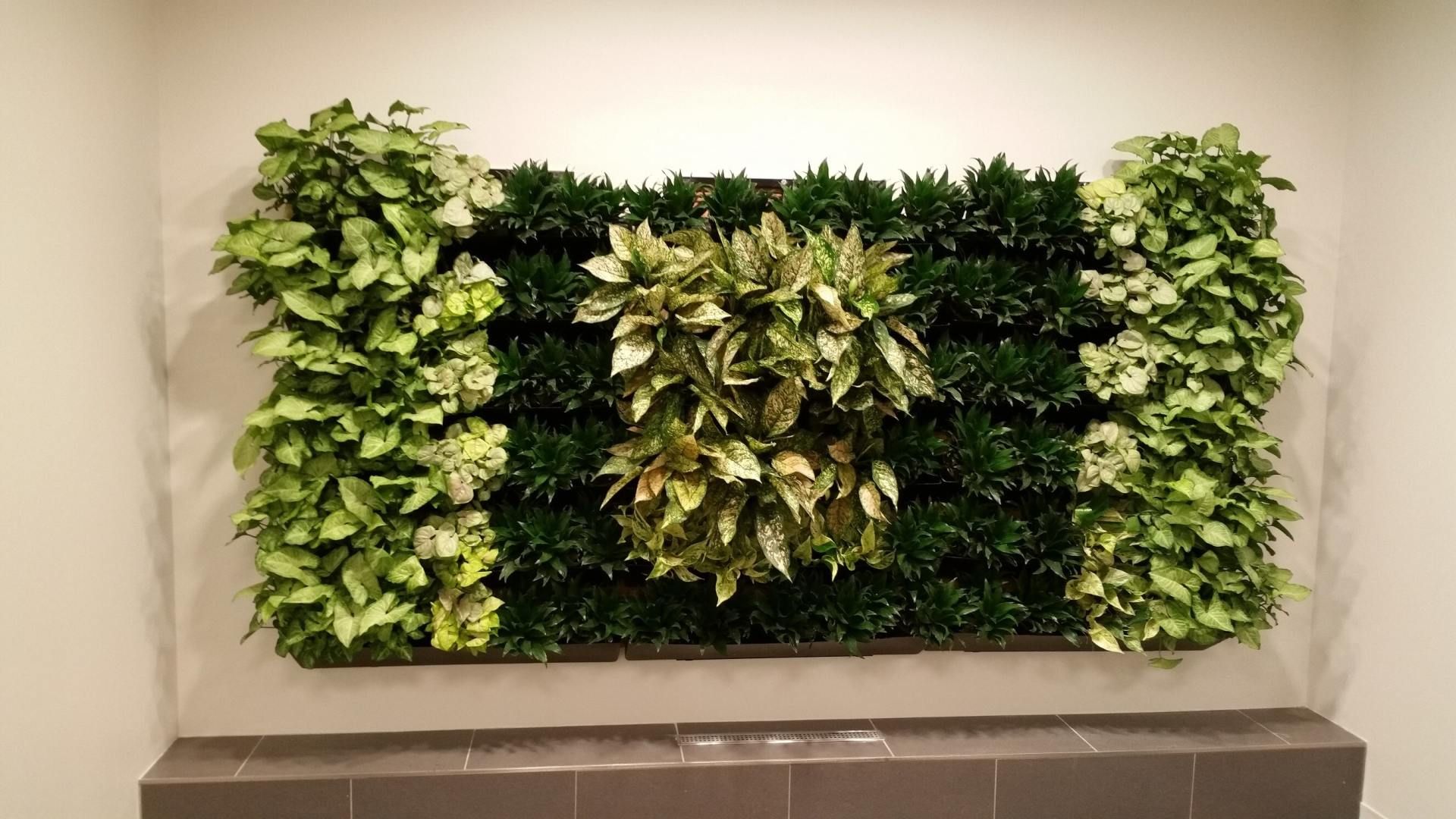 Vertical Garden Installation