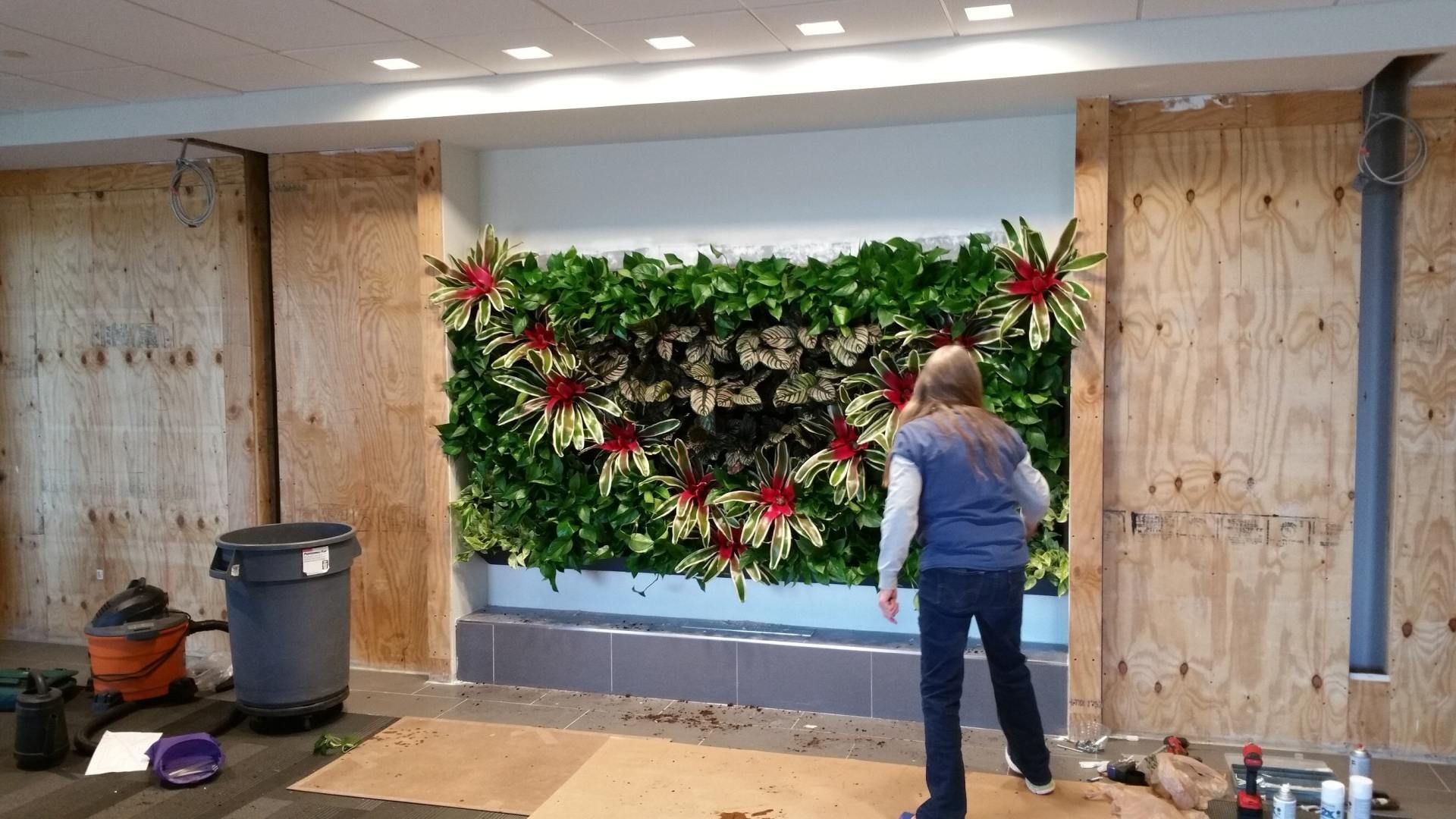 Living Vertical Garden Installed Indoors