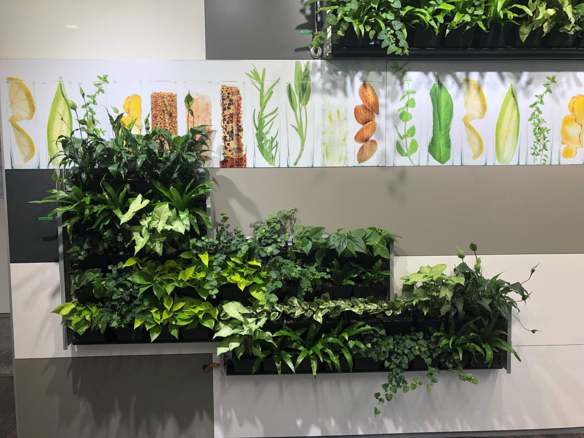 Indoor Vertical Garden System