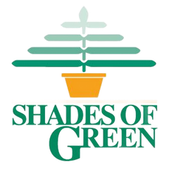 Shades of Green Shades of Green
