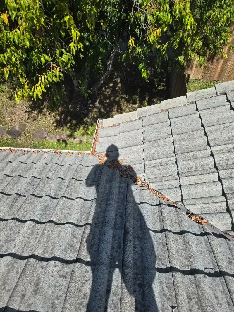 Residential Gutter Cleaning Before Photo