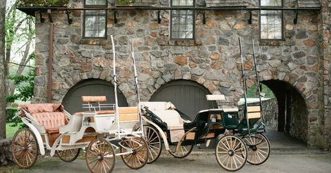 princess carriages in arkansas