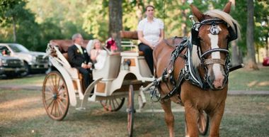 wedding carriages in arkansas
