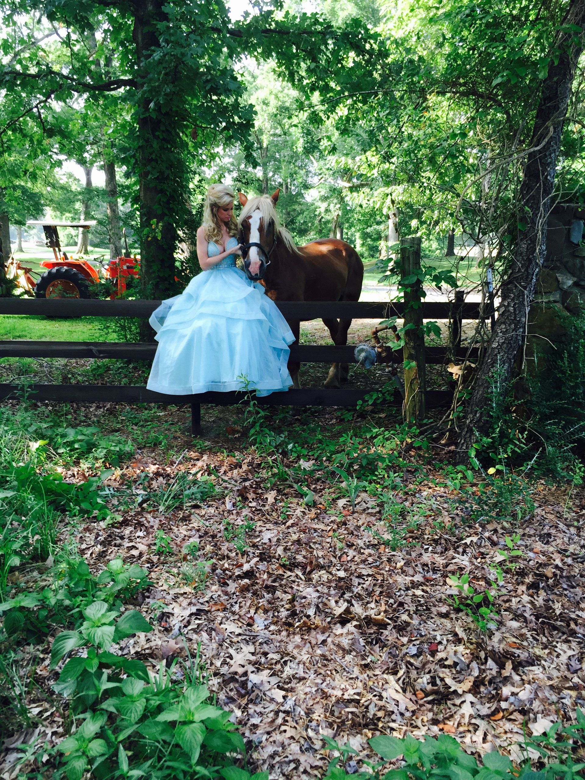 princess by horse in the woods at the best venue