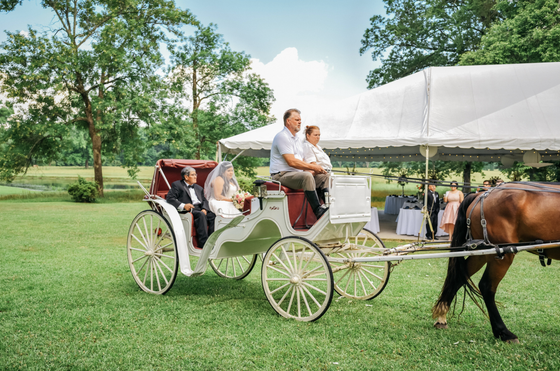 horse carriage with bride and groom sitting in it at the castle on stagecoach in little rock arkansas
