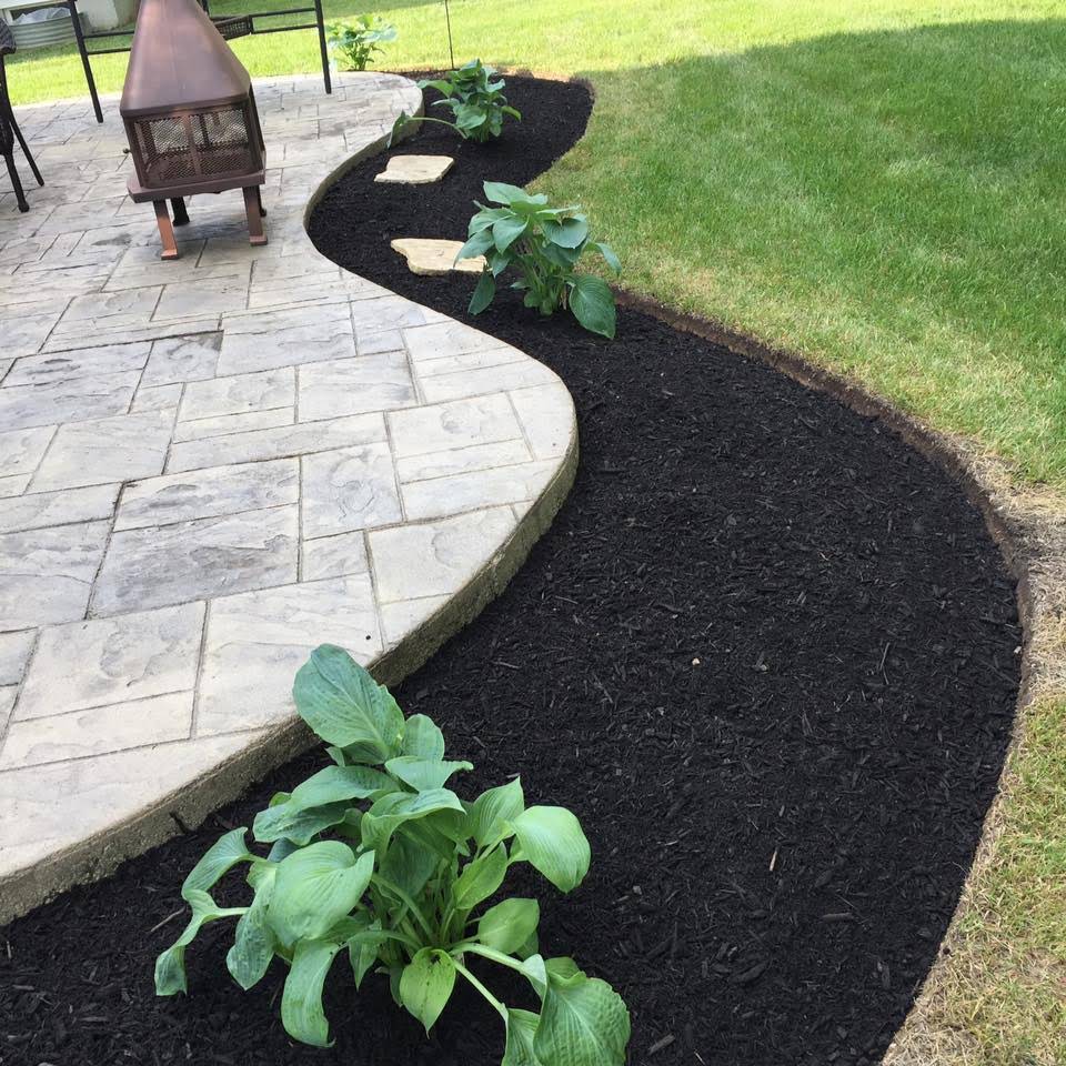 A landscaped yard with a dark mulch bed bordering a stone patio and green lawn. Several plants are placed in the mulch.