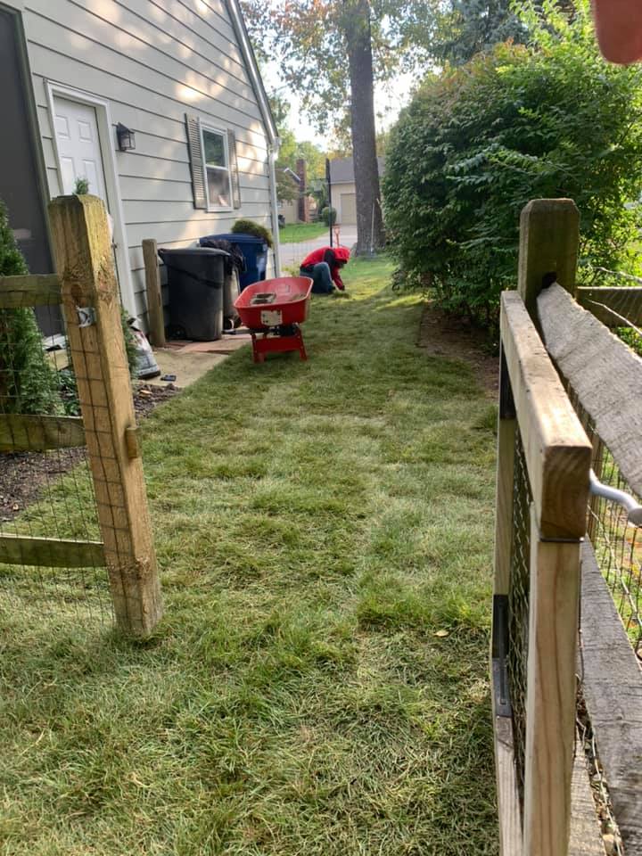 People spreading fertilizer on a grassy area between a fence and building, a red spreader is in the middle.
