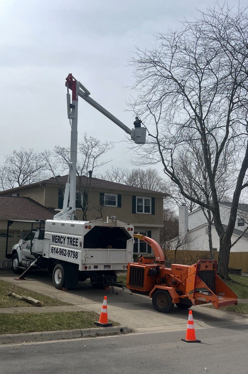 Tree service truck with lift arm and wood chipper removing branches from a tree.