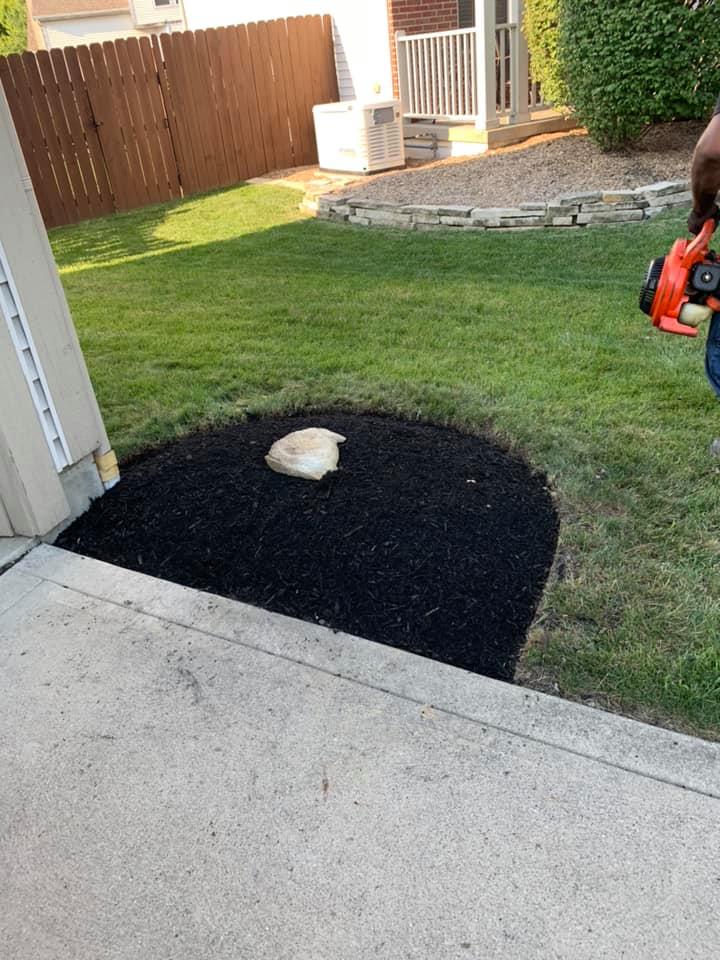 Black mulch bed with a rock in a yard. A person is using a leaf blower.