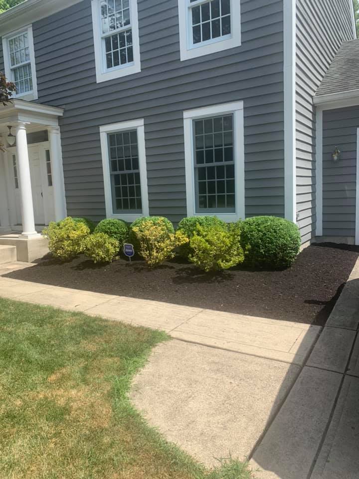 A house with gray siding, white trim, and a walkway. Green and yellow bushes are in front.