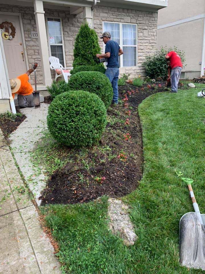 Landscapers work on a front yard, planting flowers and trimming bushes.