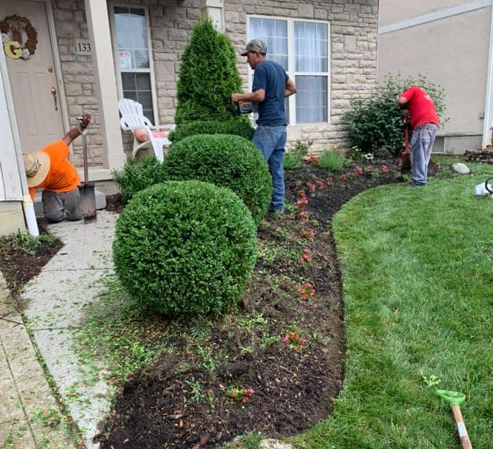 Landscapers trim bushes and tend flower beds in front of a brick house. One person rakes grass.