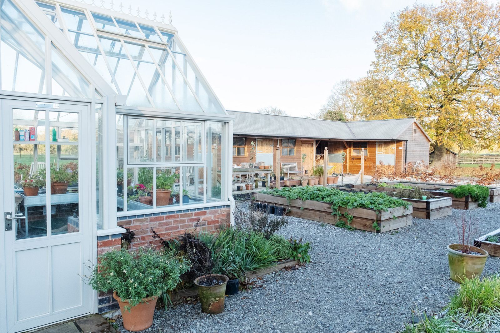 Garden and greenhouse of new build property in the Cheshire countryside