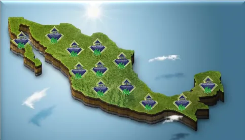 NORIEGA C & ASOCIADOS CONSULTORES INDUSTRIALES S.C.