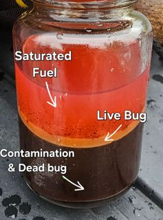 Contaminated diesel