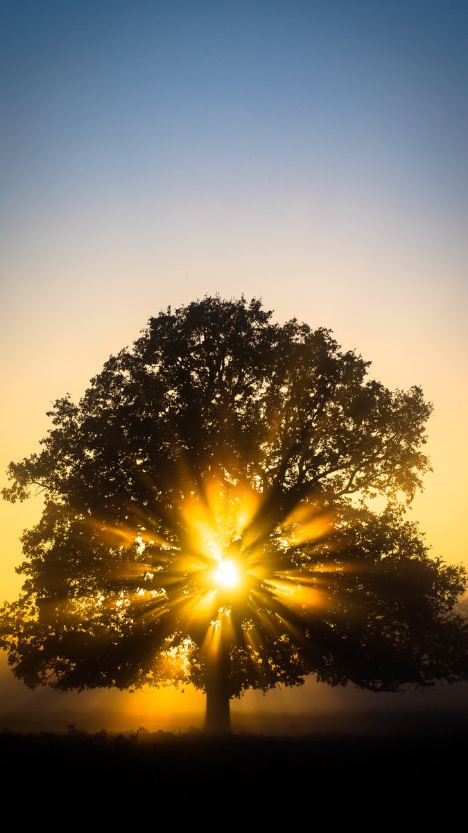 C. G. Reicher Associates