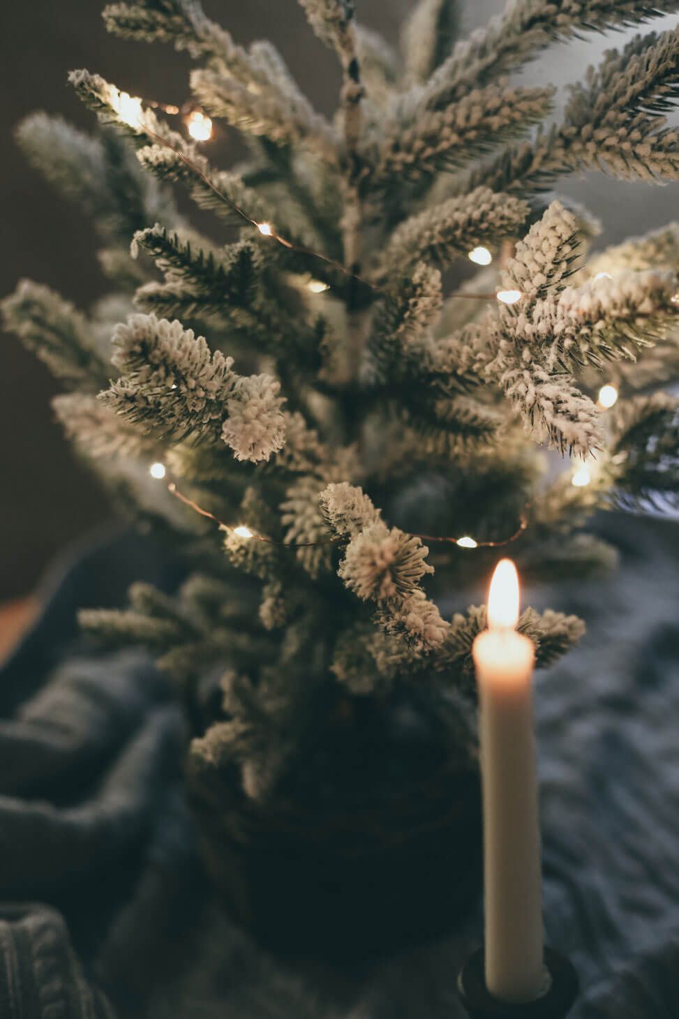 candle lit christmas tree