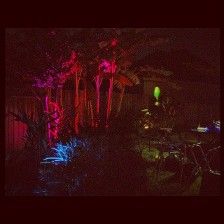 Dark stage with red, pink, and blue lights. Drums and plants are lit up.