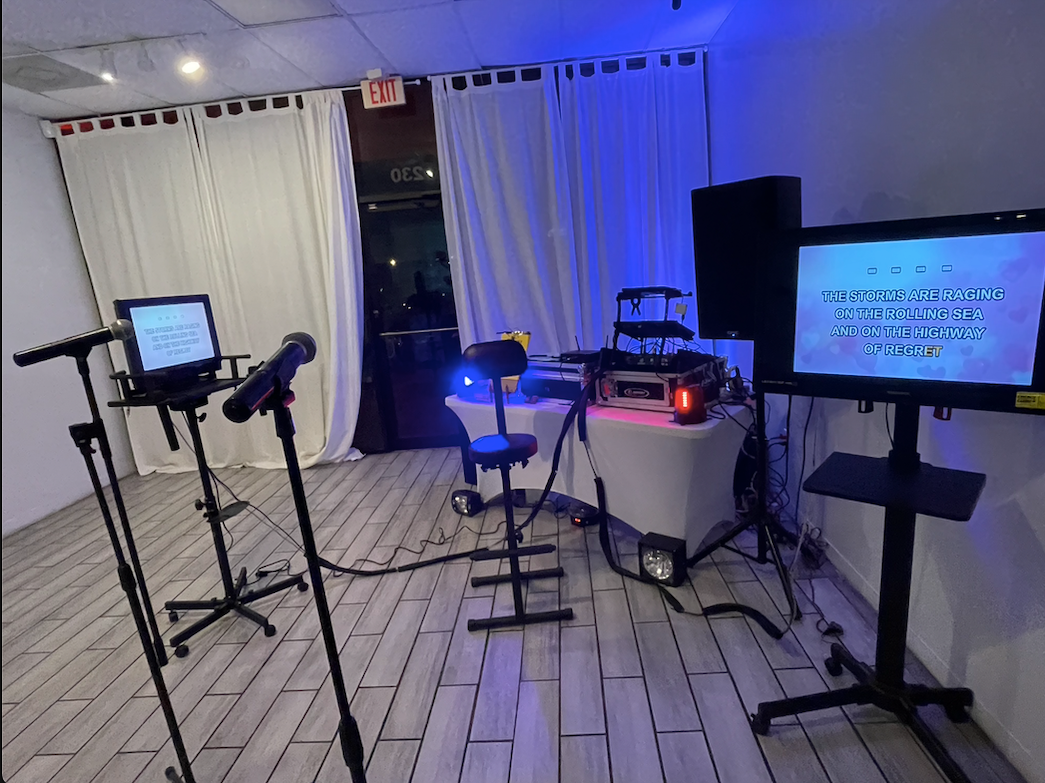 Full Sound System With Lighting