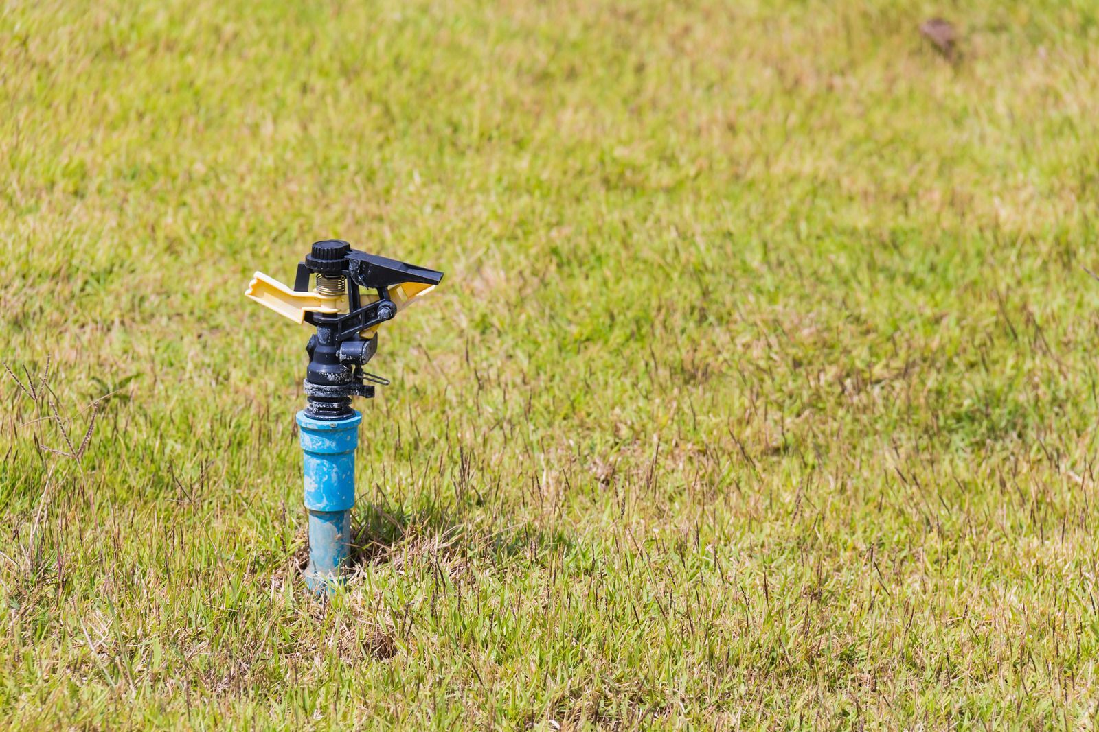 A sprinkler is sitting in the middle of a lush green field.