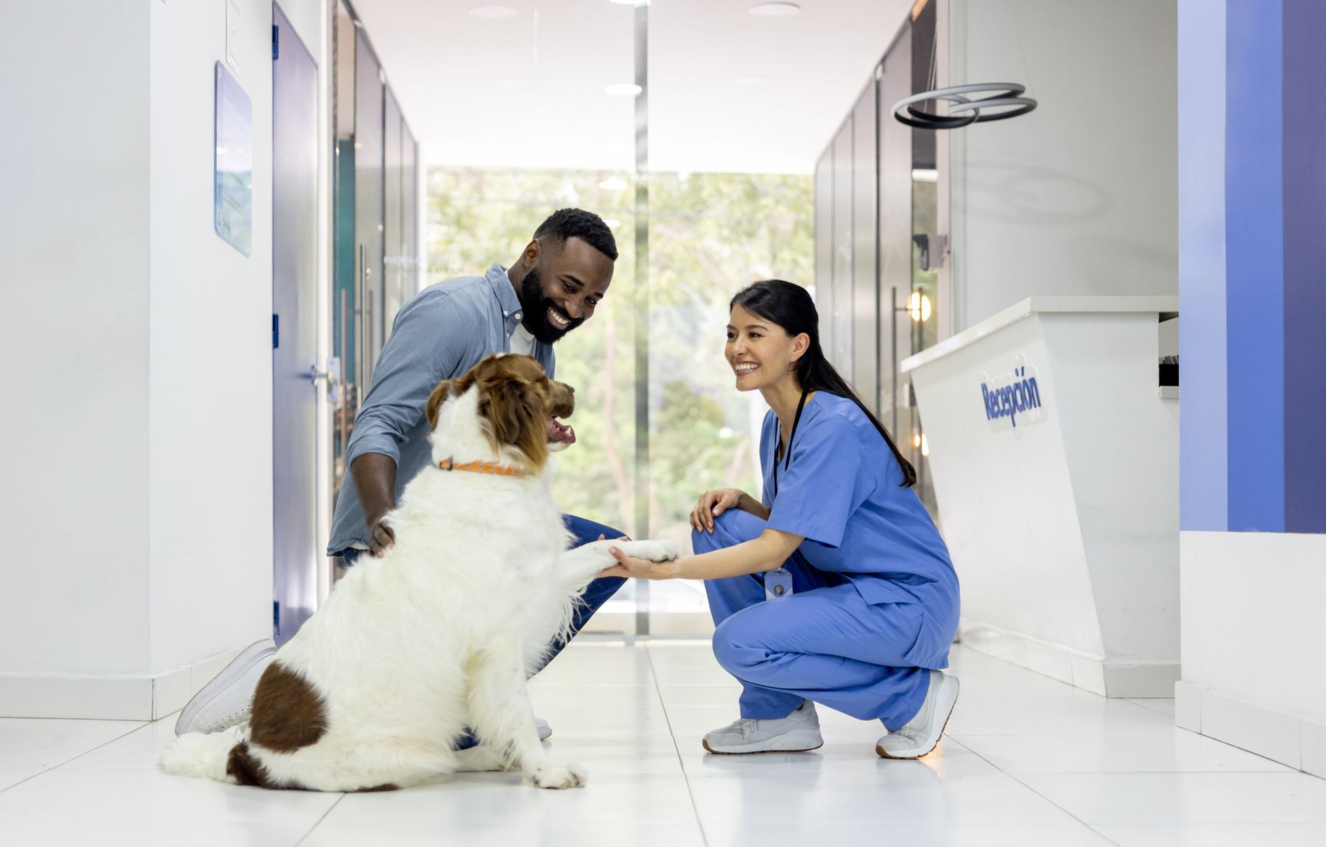Veterinarian and person with dog in clinic hallway.