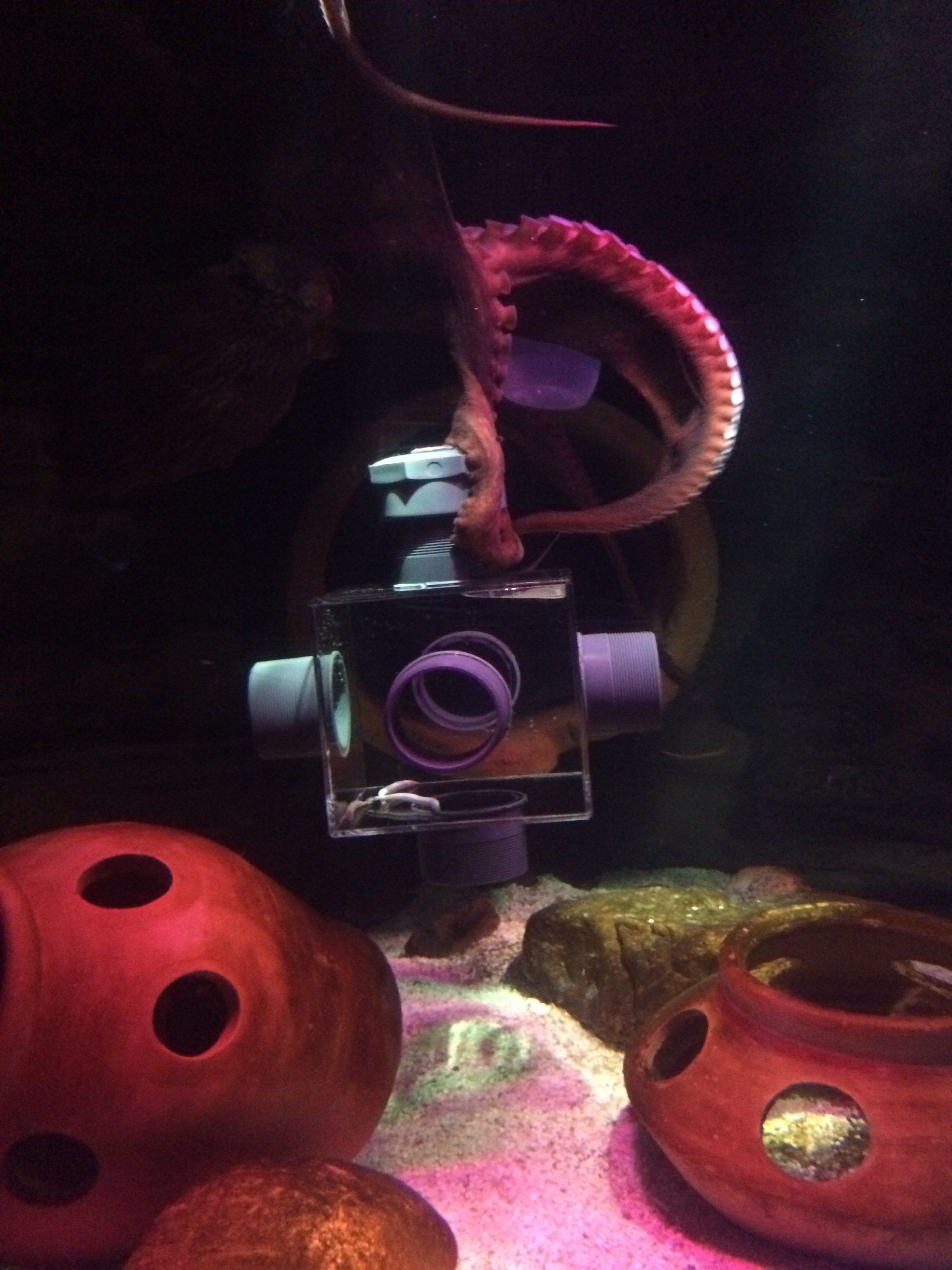 Bespoke plastics ATLAS PLASTICS & FABRICATIONS LTD, Leigh