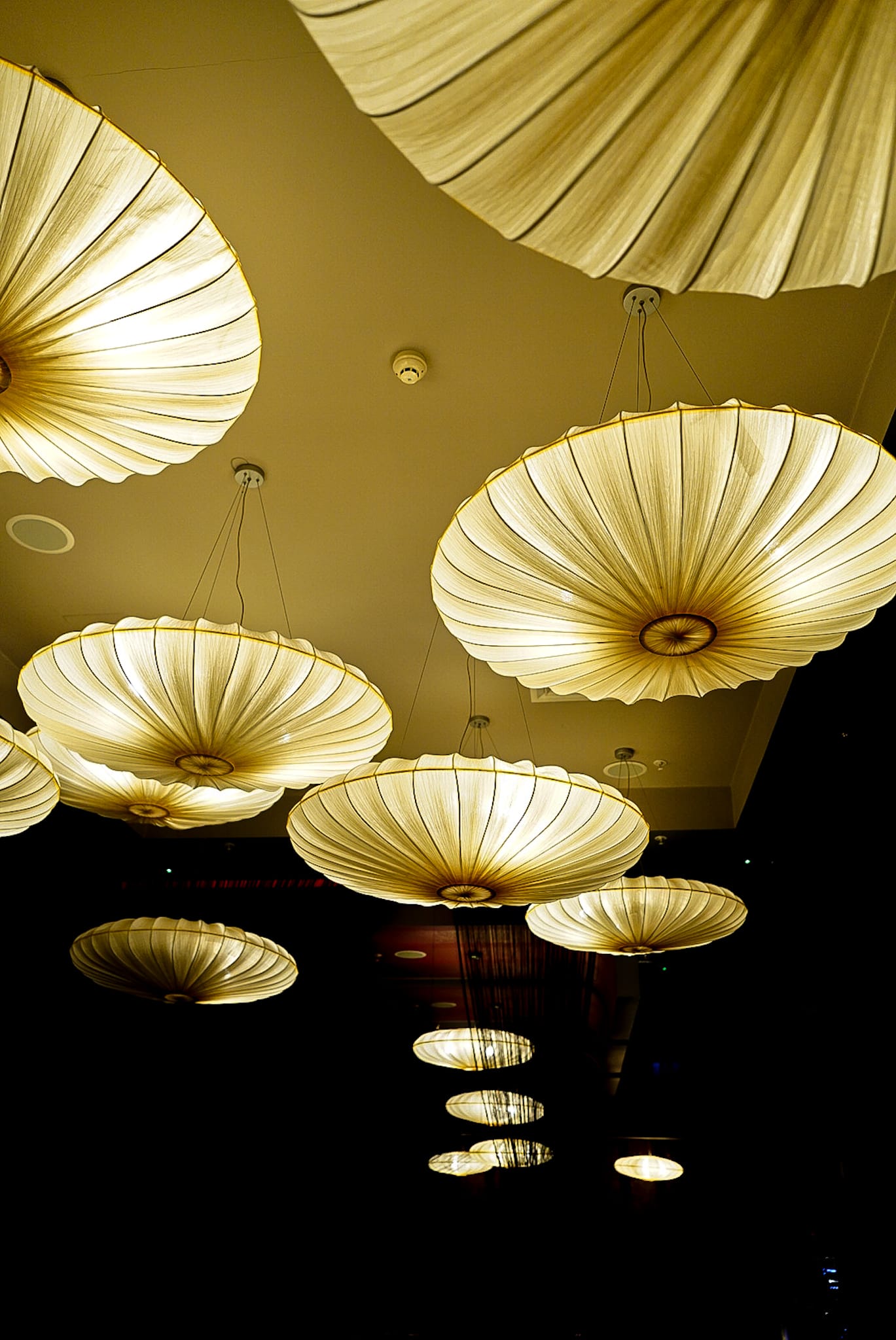 A bunch of flowers are hanging from the ceiling