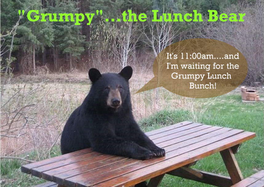 A grumpy bear is sitting at a picnic table