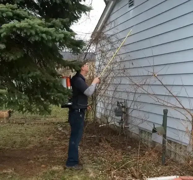 Person measuring a house's exterior with a measuring stick near overgrown bushes and a tree.
