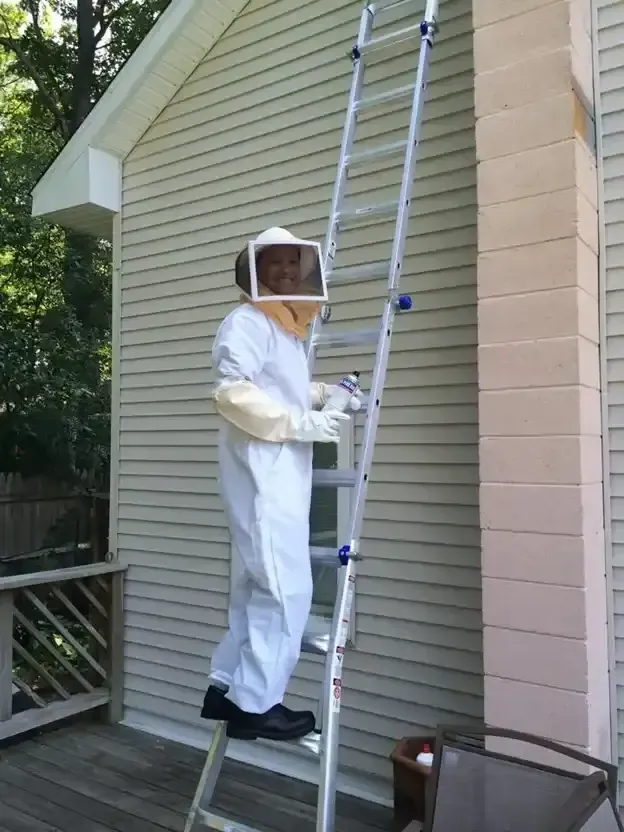 Person in bee suit climbs ladder on house exterior.