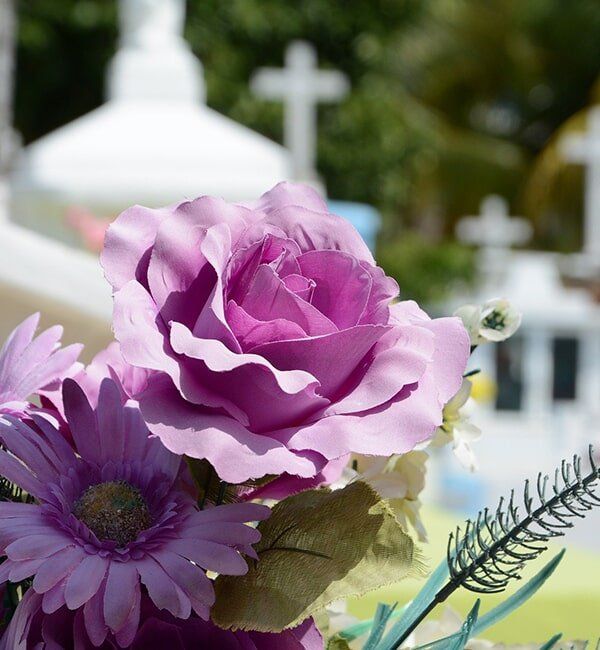 Pink Flower — Quality Cremation Services in Rockhampton, QLD