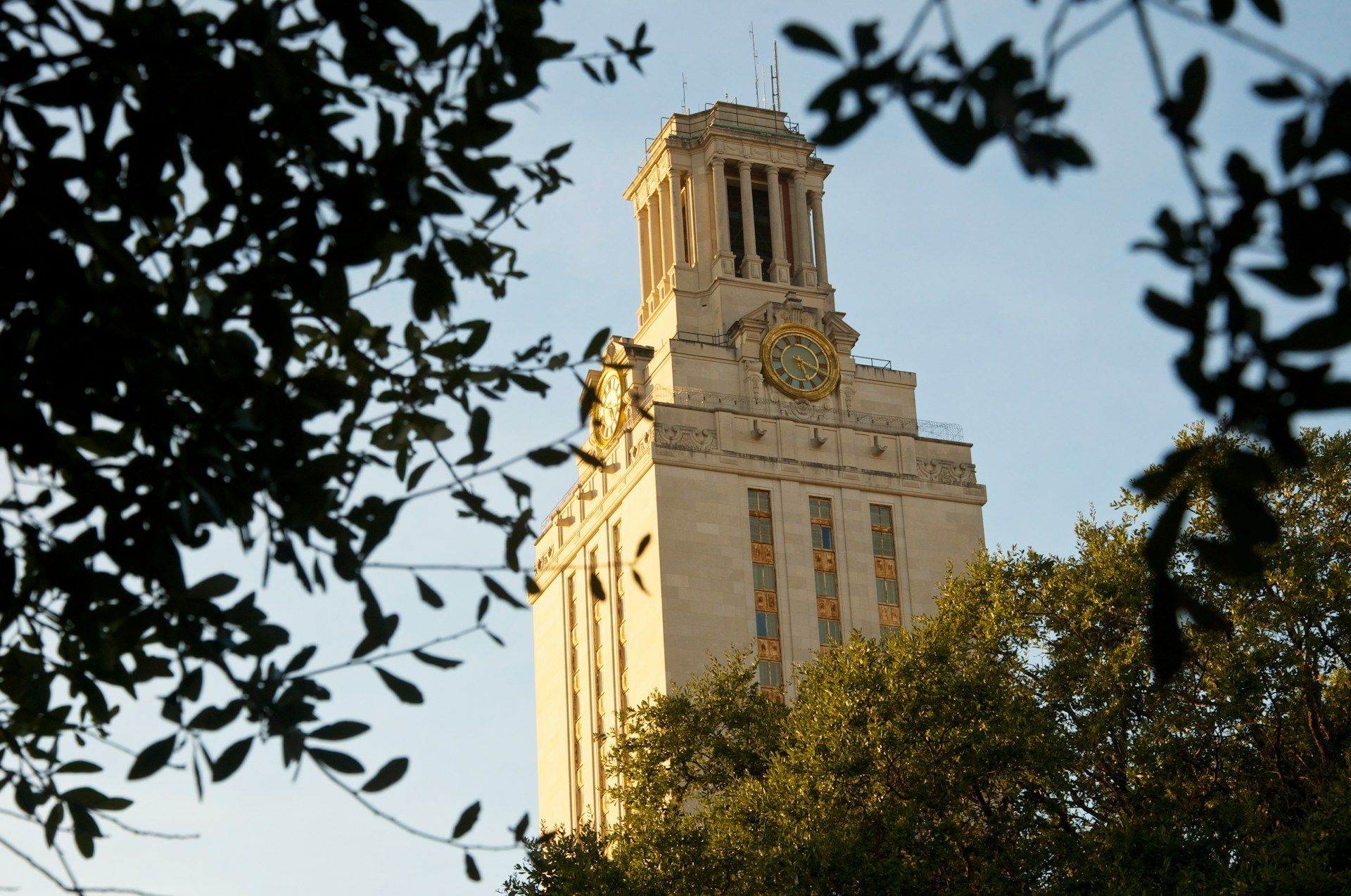 University of Texas Tower framed by tree branches, clock visible. Sunny day.