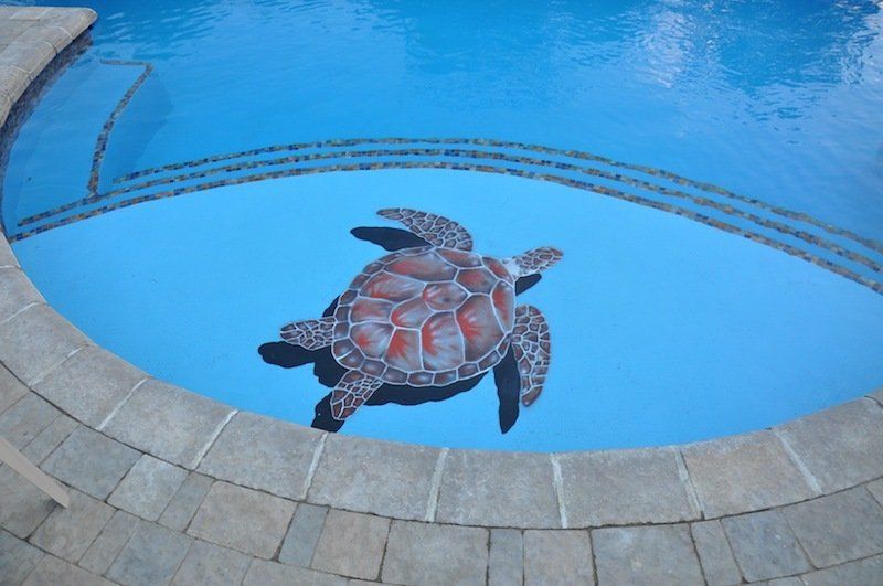 Une tortue est peinte au fond d'une piscine