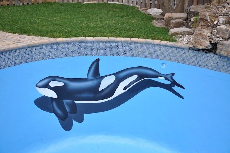 Un orque est peint au fond d'une piscine
