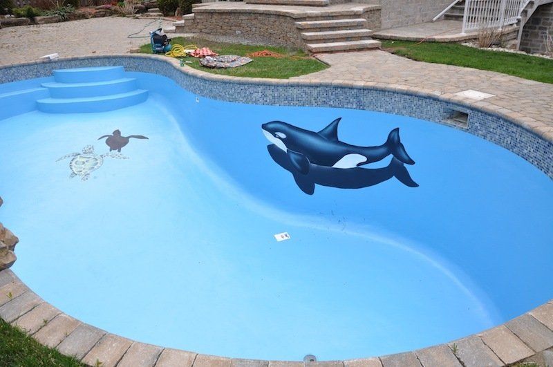 Une piscine avec deux orques peintes dessus