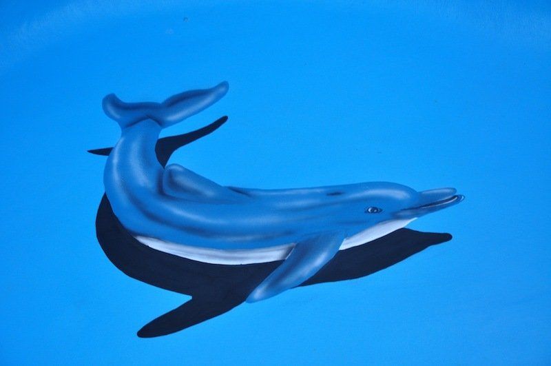 Un dauphin bleu nage dans l'océan