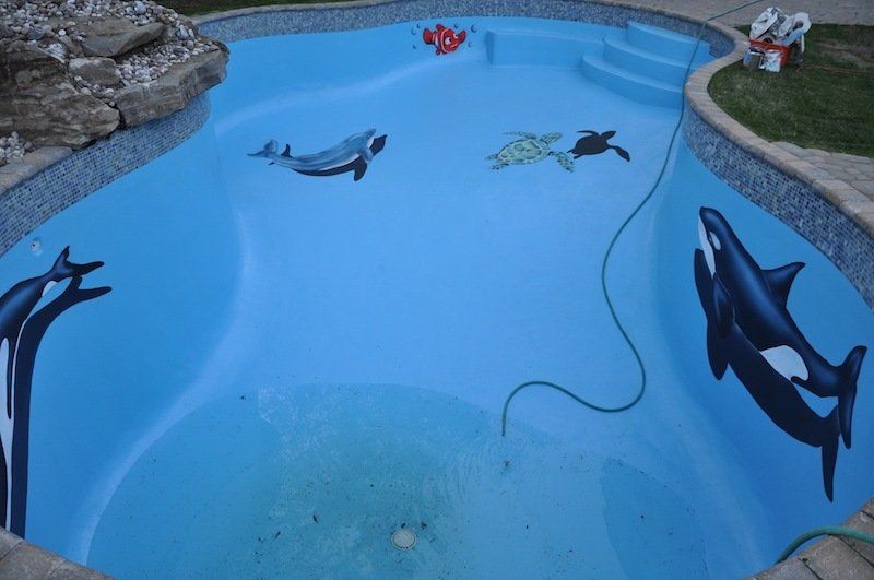 Piscine bleue vide ornée de peintures représentant des animaux marins : dauphins, orques, tortue.