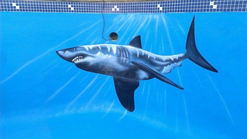 Une fresque de requin peinte au fond d'une piscine bleue, avec une ligne sombre reliée à une petite balle.