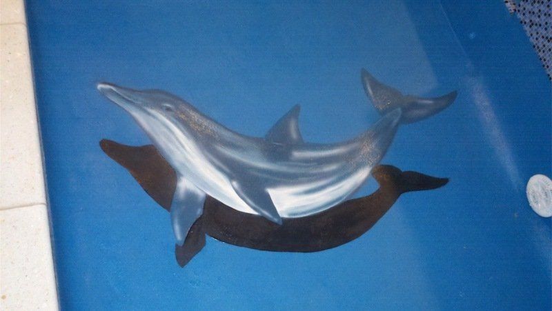 Une peinture de deux dauphins sur une surface bleue