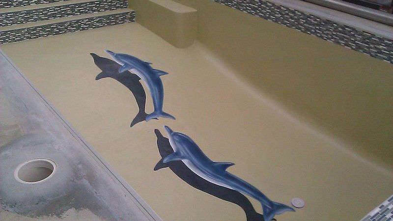 Deux dauphins sont peints sur le sol d'une piscine