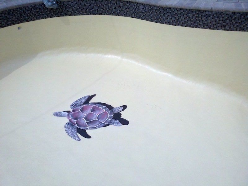 Une tortue est peinte sur le fond d'une piscine