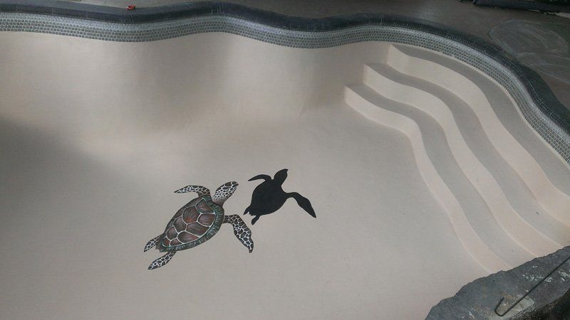 Deux tortues de mer sont peintes sur le sol d'une piscine