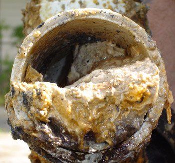 Grease and Corrosion Blockages - Ace Plumbing Topeka