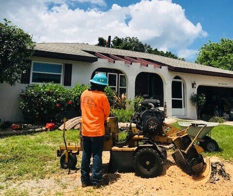 Stump Grinding — Man Removing Stump In Front Of The House In Sarasota, FL